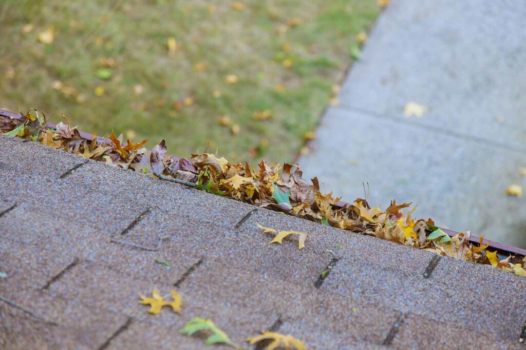 Leafs filling up gutter