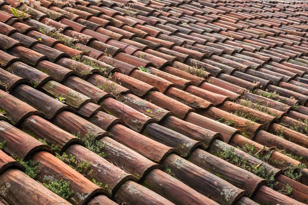 Overgrown terracotta roof